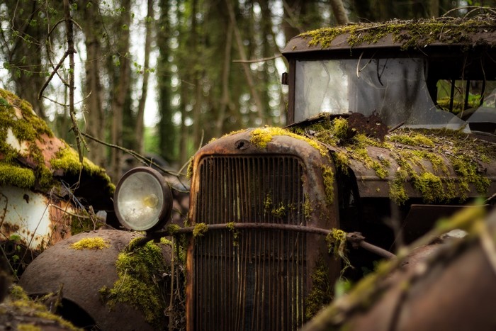 Moss-covered abandoned truck in a forest