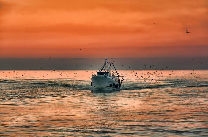 Fishing boat sailing on the sea at sunset with birds