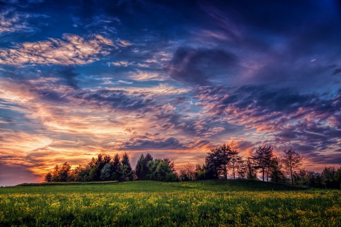 Dramatic sunset over a grassy field with trees