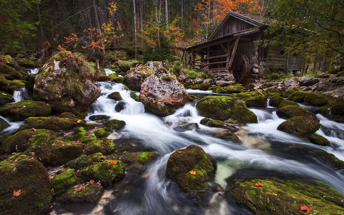 4K Gollinger Mill Austria River Forest Stones Moss Watermill