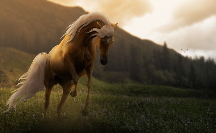Palomino horse jumping in a grassy field at sunset