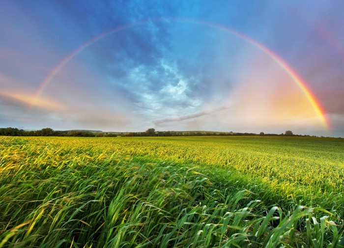 Rainbow over a green field