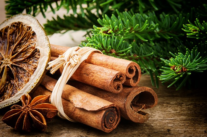 Cinnamon sticks with dried orange and spruce