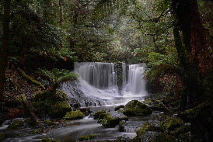 Waterfall in a dense forest with mossy rocks