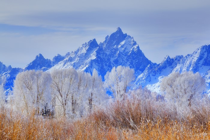 Grand Teton Mountains in Wyoming with Frosted Trees