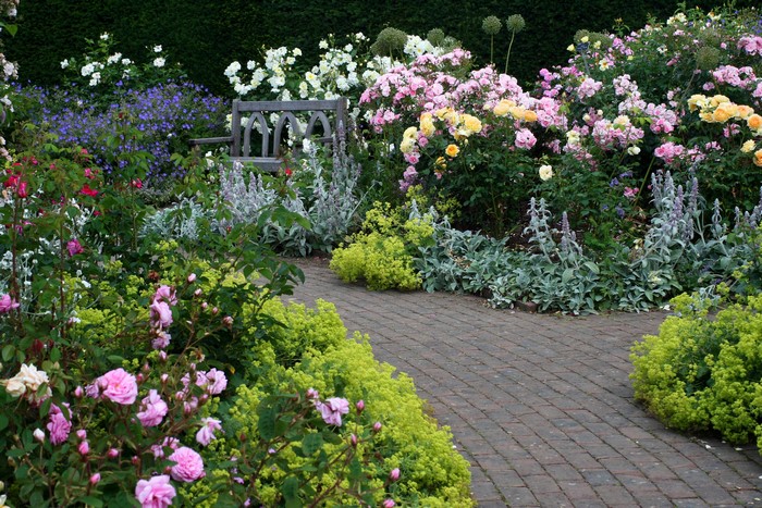 Rosemoor Garden in Devon, England with blooming roses