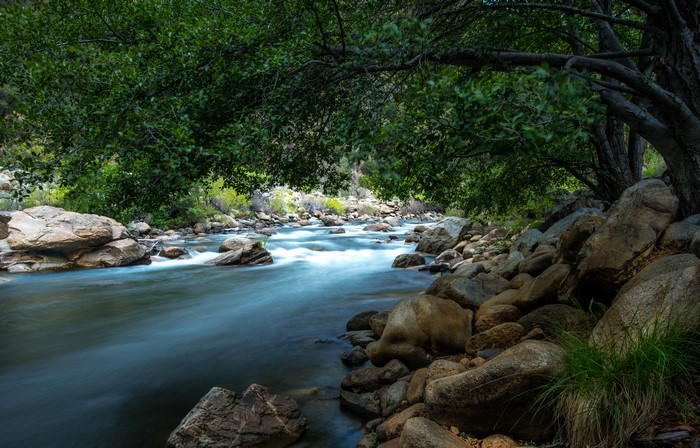 Kern River in California with Stones and Trees