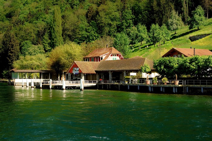 Buildings on a lake shore with green forest background
