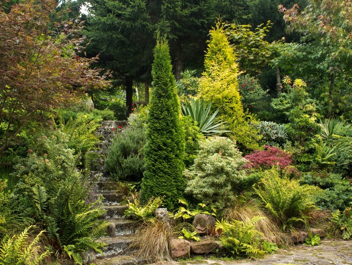Stone steps winding through a lush garden with various trees and ferns