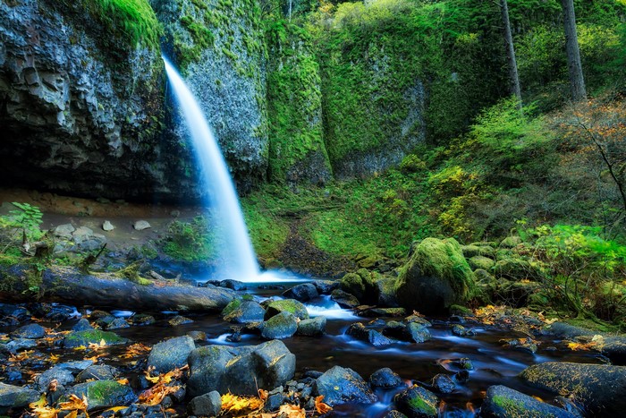 Waterfall cascading over mossy rocks in Oregon forest