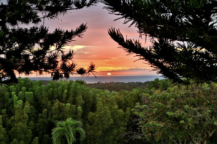 Sunset over the ocean viewed through trees in Puerto Rico