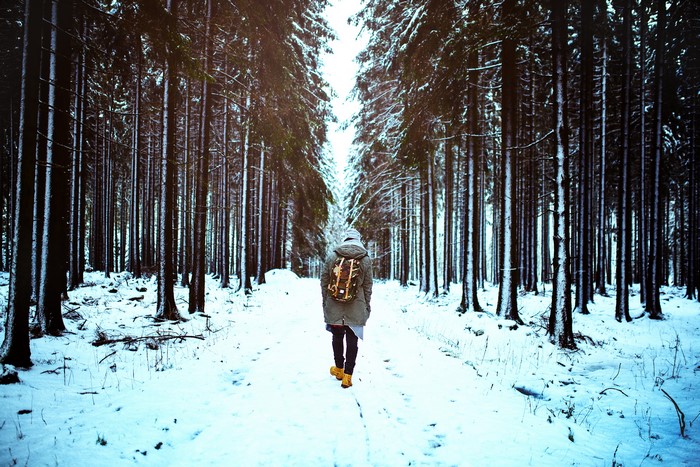 Man walking in snowy forest