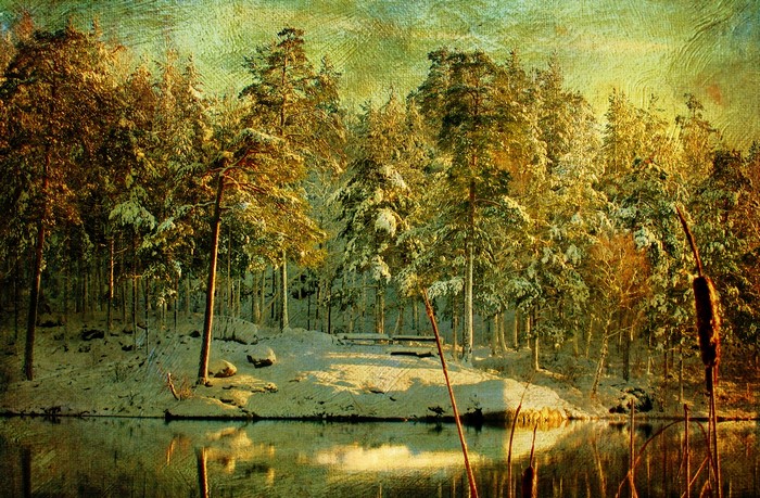 Snowy forest by a lake with a textured effect