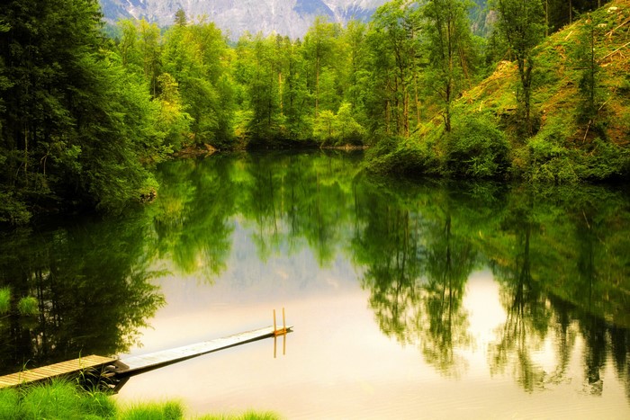 Lake and forest with mountain reflection