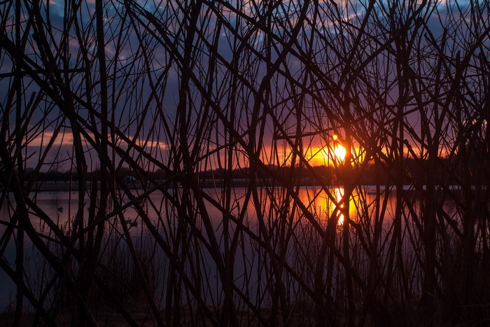 Sunset over a lake seen through branches