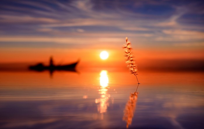 Boat on water at sunset with grass