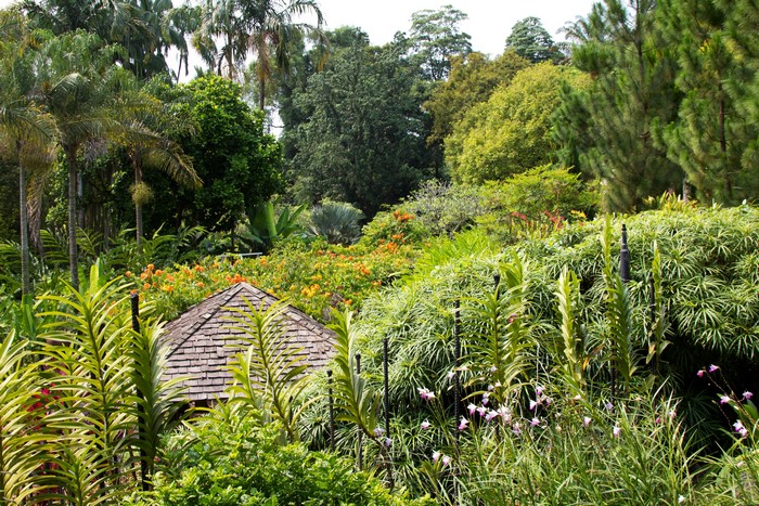 Botanic Gardens in Singapore with a small hut