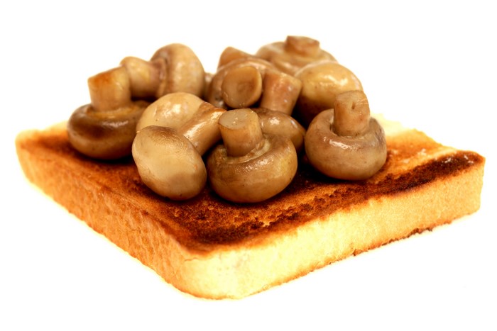 Mushrooms on Toast