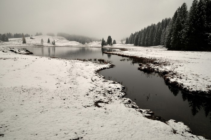 Winter landscape with a lake and snow-covered forest