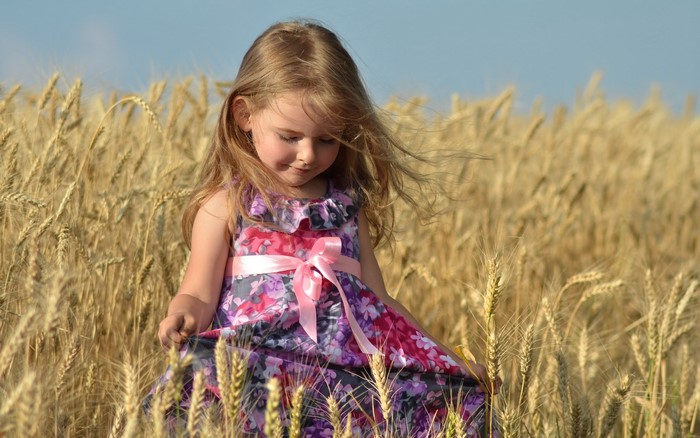 Little girl in a floral dress in a wheat field