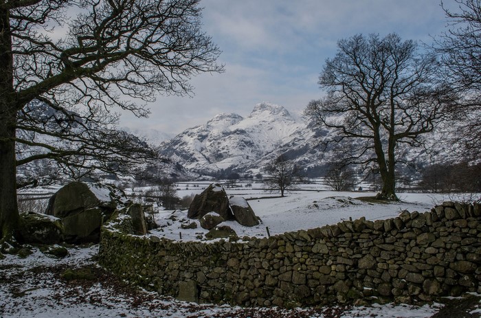 Snowy mountains and trees with a stone wall in winter