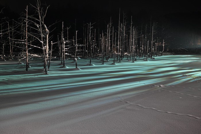 Winter Night Forest with Blue Pond and Snow