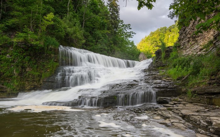 Cascading Waterfall in a Lush Forest