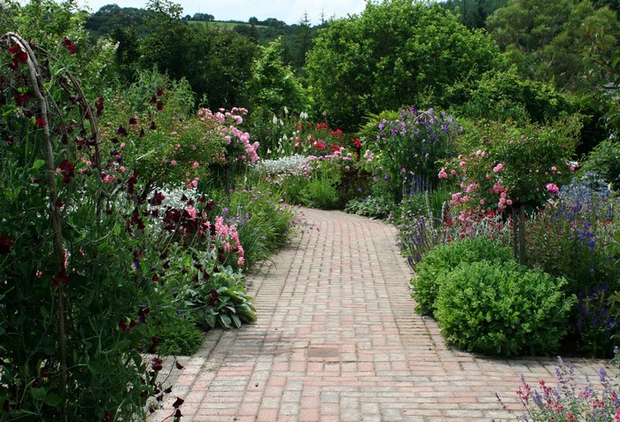 Rosemoor Garden Devon England shrubs and flowers