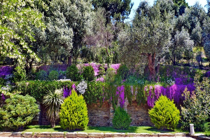 Terraced garden with flowering plants and trees in Izmir, Turkey