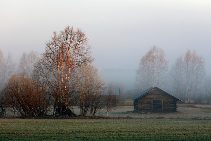 Wooden houses in a foggy village in Lapland, Sweden