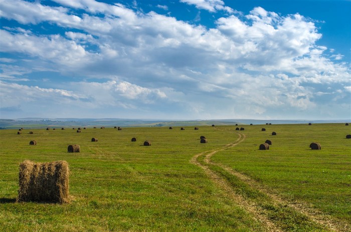 Hay bales in a green field under a cloudy sky