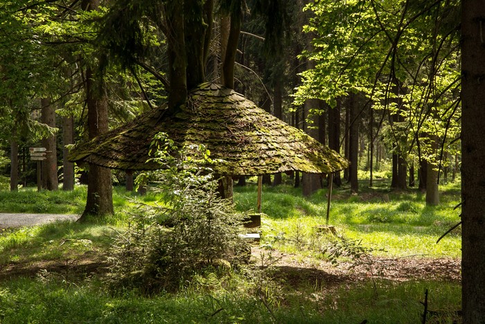 Forest gazebo with mossy roof in Waldershof, Germany