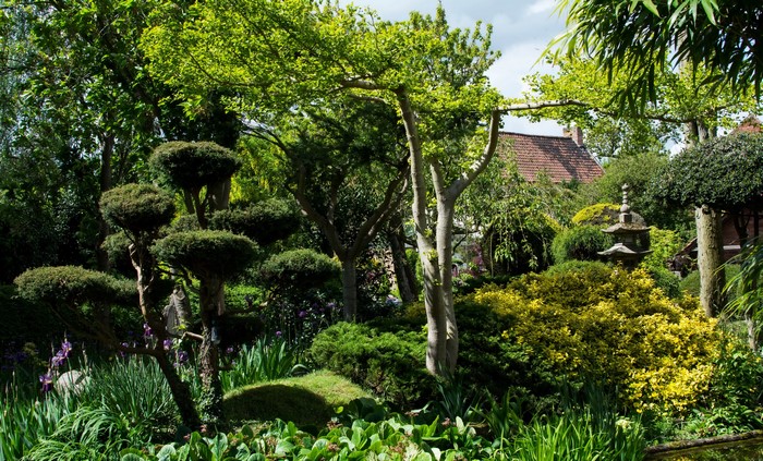 Japanese garden with sculpted trees and pagoda