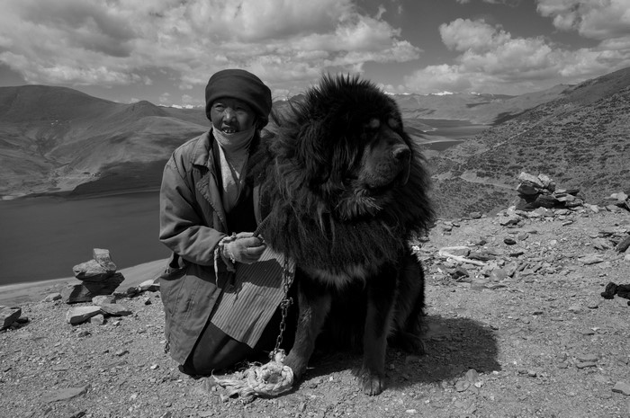 Tibetan woman and Tibetan Mastiff on mountain