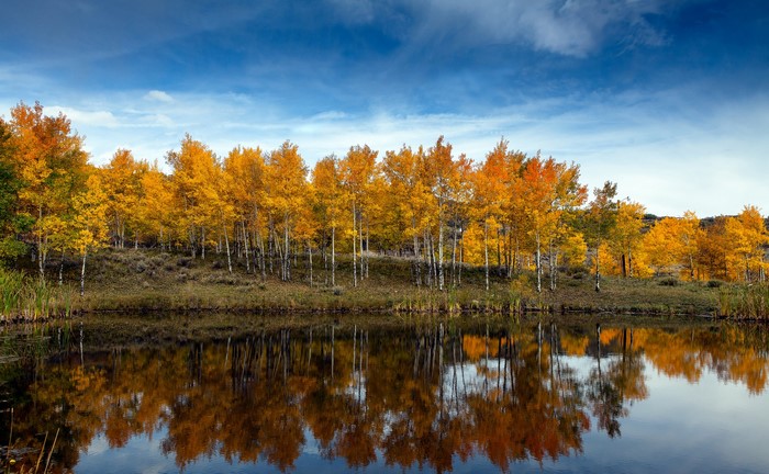Autumn trees reflecting in a lake under a blue sky