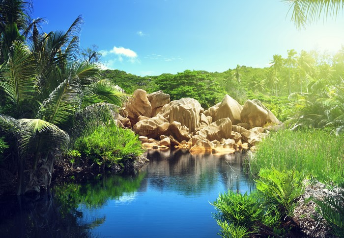 4K Tropical Scenery with Stones and Water