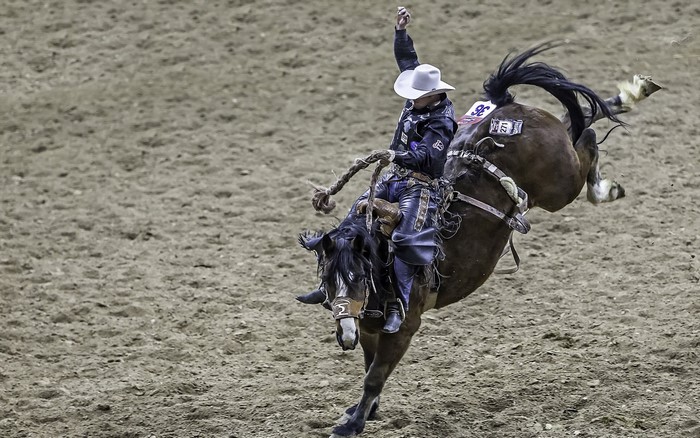 Cowboy riding a bucking horse in a rodeo