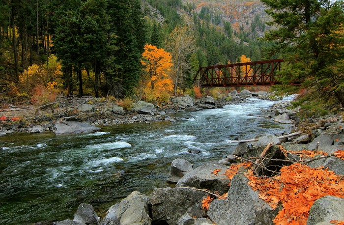 River flowing through a forest with a bridge in autumn