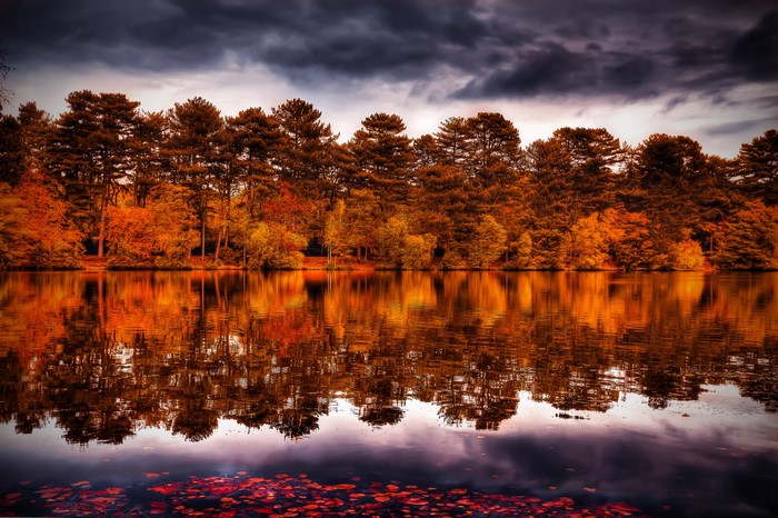 Autumn forest reflected in a lake under a cloudy sky