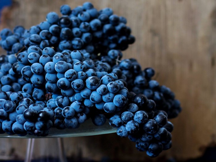 Blue Grapes on a Glass Plate