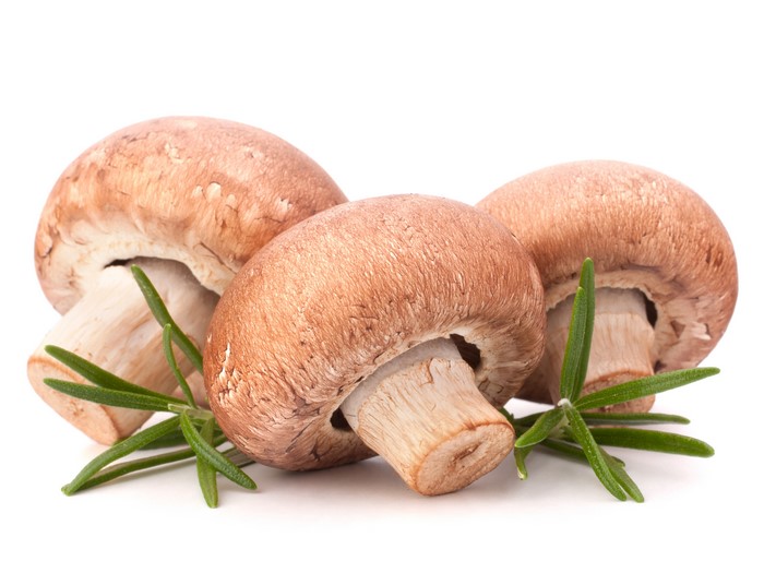 Three brown mushrooms with rosemary sprigs