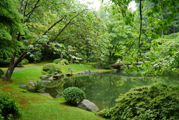 Nitobe Garden pond with bridge and trees in Vancouver