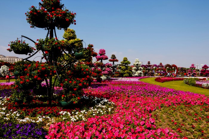 Dubai Miracle Garden with Flower Sculptures and Heart Arches