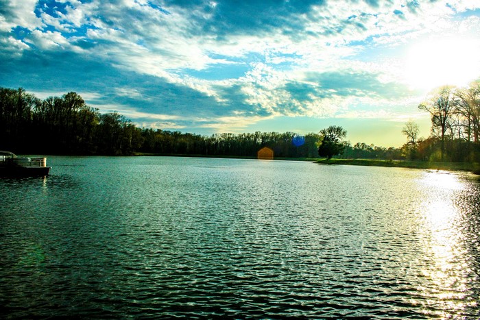 Lake with trees and a bright sky