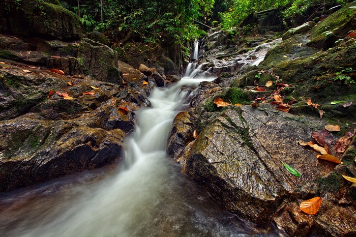 Stream flowing over rocks in a forest
