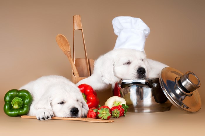 Two Golden Retriever puppies sleeping with cooking ingredients