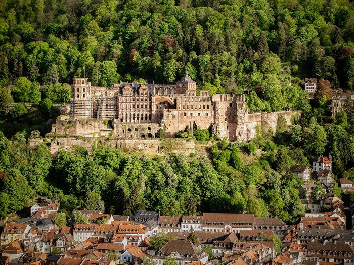 Heidelberg Castle in Germany surrounded by forest