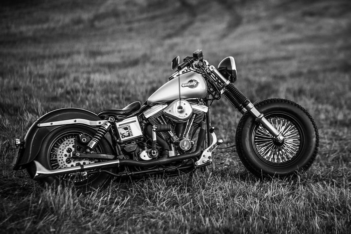 Harley-Davidson motorcycle parked on grass