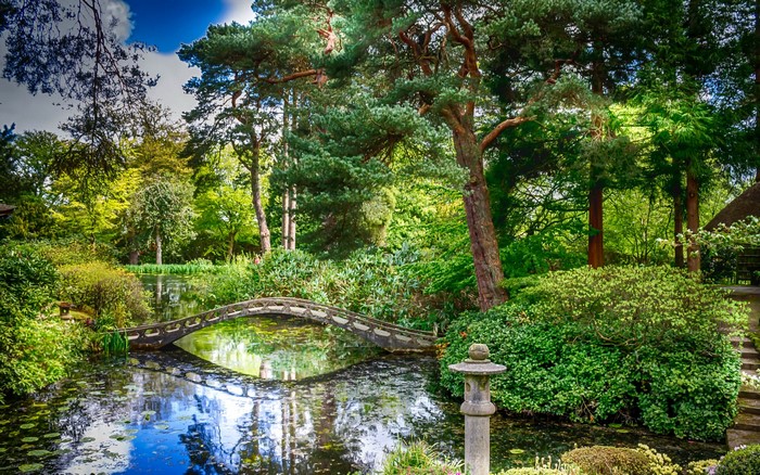 Japanese Garden with Curved Bridge and Pond