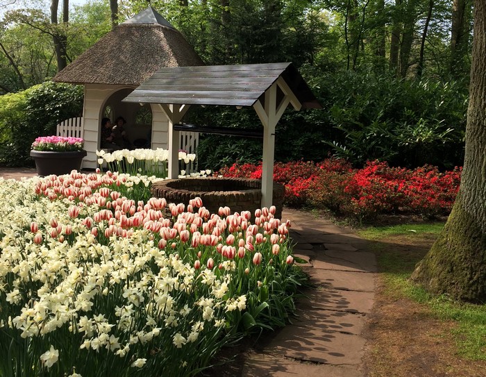 Keukenhof Gardens with Tulips and Daffodils in the Netherlands